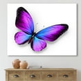thumbnail image 2 of Designart ' Blue and Violet Butterfly ' Modern Canvas Wall Art Print, 2 of 4