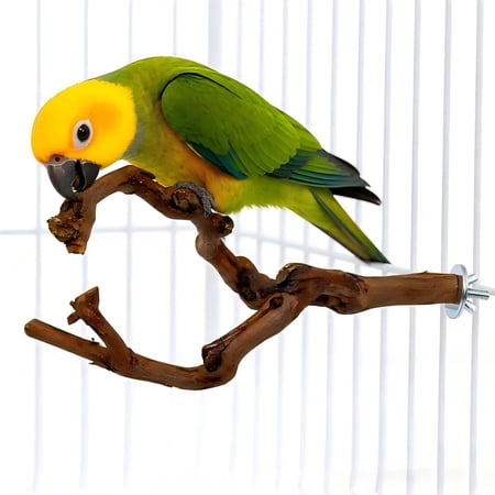 Bird Perch Stick Bird Standing Stick Swing Chewing Bird Toys Natural Grapevine Bird Cage Perch for Parrot Cages Toy for Cockatiels, Parakeets, Finches Two Branches