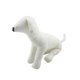 thumbnail image 3 of Maniquíes de cuero PU para perros, maniquí de exhibición de ropa para mascotas, suministros para mascotas, modelos para perros Talla M Blanco Sunnimix Maniquí de perros, 3 of 8