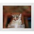 thumbnail image 3 of Dana Underdahl 4x24 White Modern Wood Framed Wall Art Titled - Bushbaby II, 3 of 5