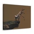 thumbnail image 2 of Funny Weevil Silly Weevil Scene Outside Wall Art Ready to Hang Unframed, 2 of 6