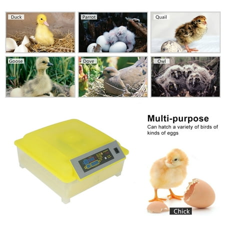Zimtown Automatic Digital Clear Egg Incubator Hatcher Turning Temperature Control For Quail, Chickens, Ducks, Pigeons