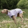 thumbnail image 6 of HQREA Greyhound Dog Coat Winter Whippet Jacket Warm Fleece Pet Vest Coat for Large Dogs, 6 of 6
