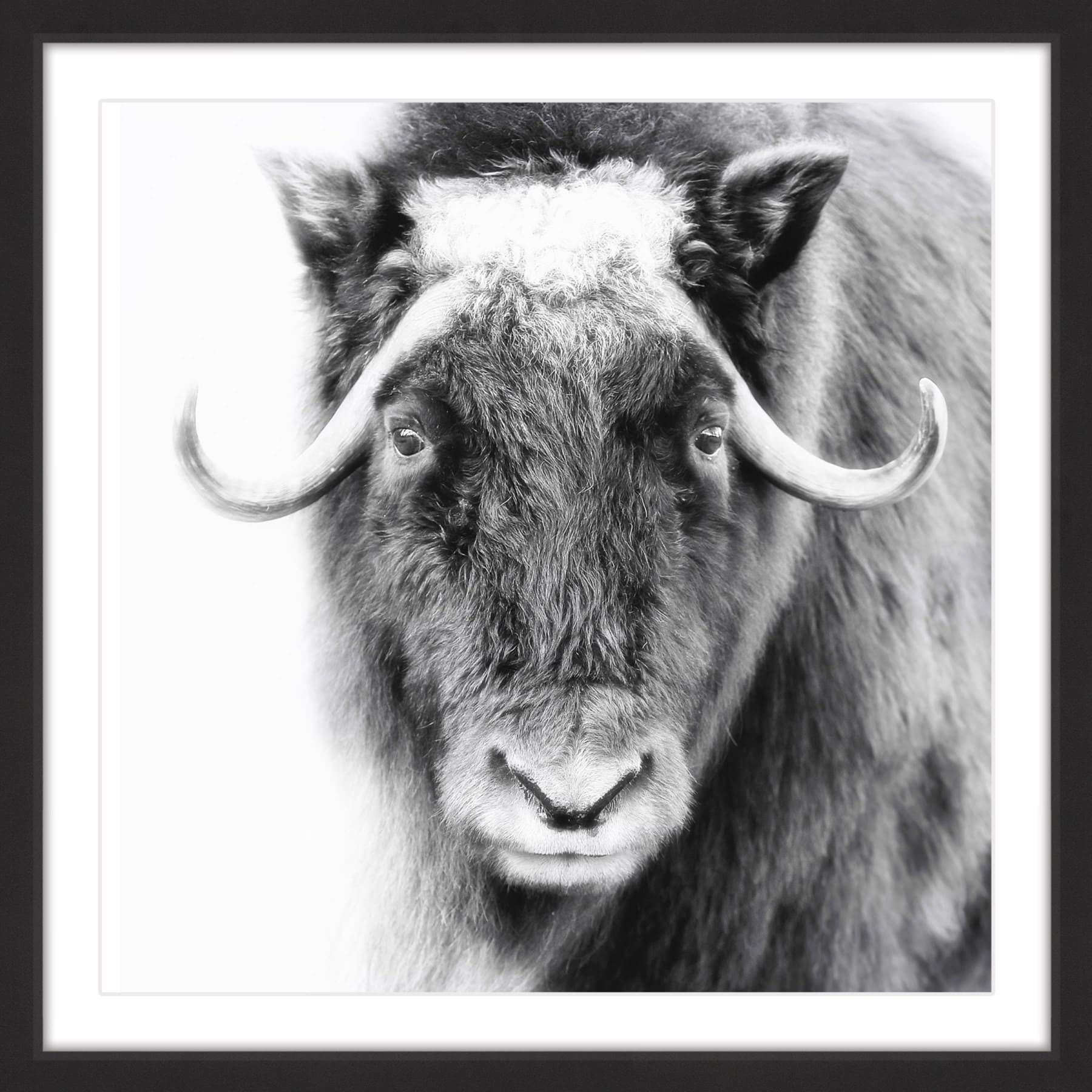 Look at Me Framed Painting Print