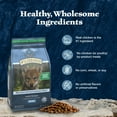 thumbnail image 6 of Blue Buffalo Wilderness Puppy High-Protein Natural Dry Dog Food, Chicken Recipe, 13-lb. Bag, 6 of 11