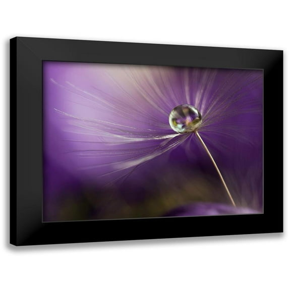 Westum, Heidi 18x14 Black Modern Framed Museum Art Print Titled - In shades of purple