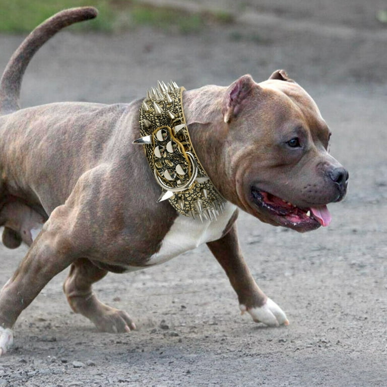Wide Pet Dog Spiked Studded Collar PU Leather Rivet Punk