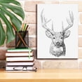 thumbnail image 6 of Epic Graffiti 'Young Buck Sketch II' by Emma Scarvey, Giclee Canvas Wall Art, 12"x16", 6 of 8