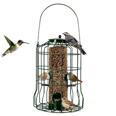 iMounTEK Squirrel Resistant Bird Feeders with 4 Perches for Small Birds Bird Feeder Squirrel Proof / Chew Proof / Rustproof, Outdoor Hanging Wild Bird Feeder Cage
