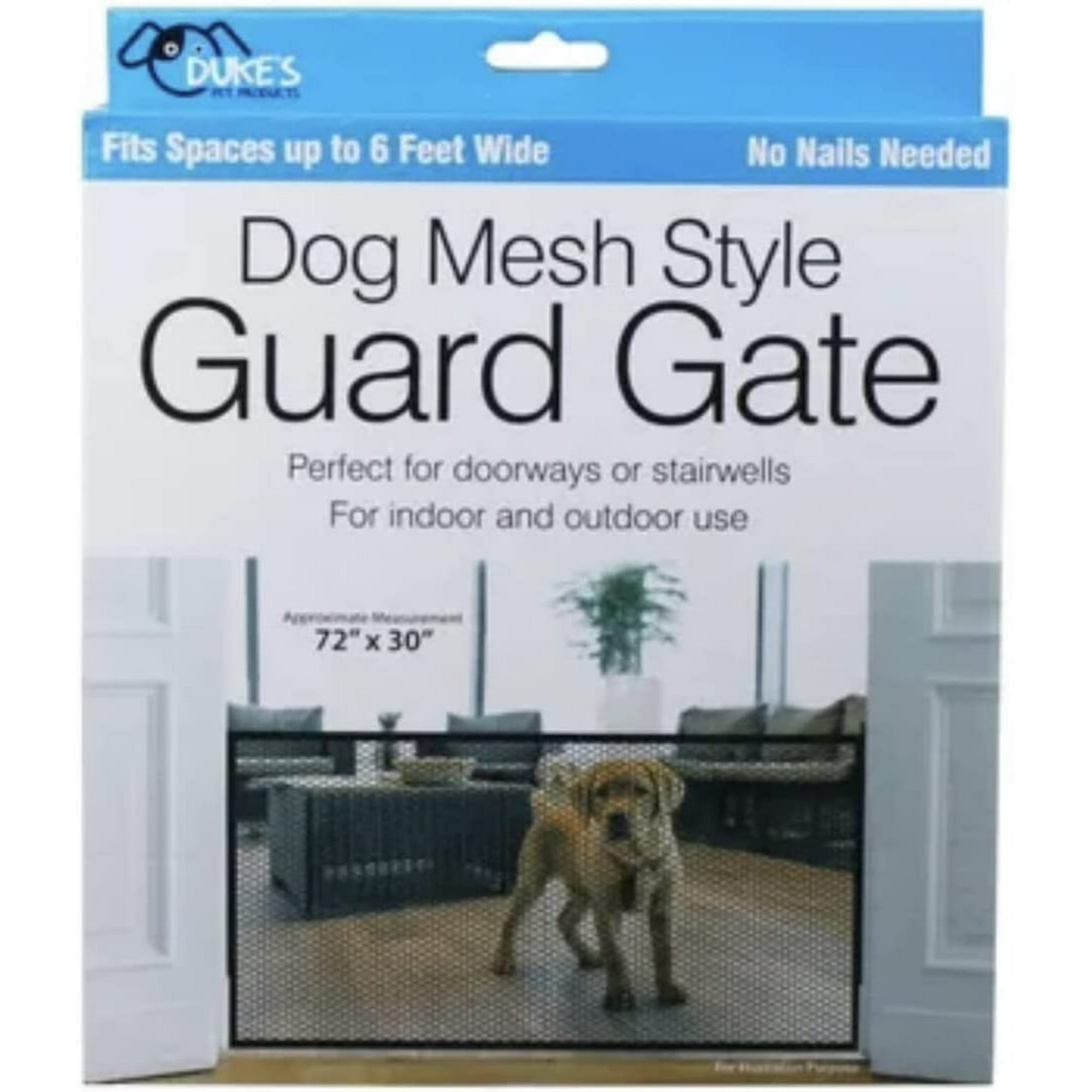 How Much Space Is Needed For A Dog