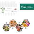 thumbnail image 6 of 1/3/5/7/10ml Disposable Plastic Transfer Pipettes, Calibrated Dropper Suitable for Science Laboratory, DIY Art, 6 of 7