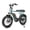 Green, variant on Tamobyke T63 Electric Bike for Adults,750W Motor,36V/13Ah Battery,20"x4.0" Fat Tire E-Mountain Bike,UL2849
