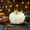 D, variant on YingYouFu Plastic Pumpkin Vegetable Model, Realistic Photography Prop and Stage Decoration, Halloween Themed Ornament for Mall Window and Desktop