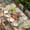 Beige, variant on Spring Mushrooms Table Cloths for 5 Foot Rectangle Tables, Farmhouse Pastoral Botanical Rustic Patio Waterproof Elastic Fitted Tablecloths, Washable Rectangular Table Cover for Camping