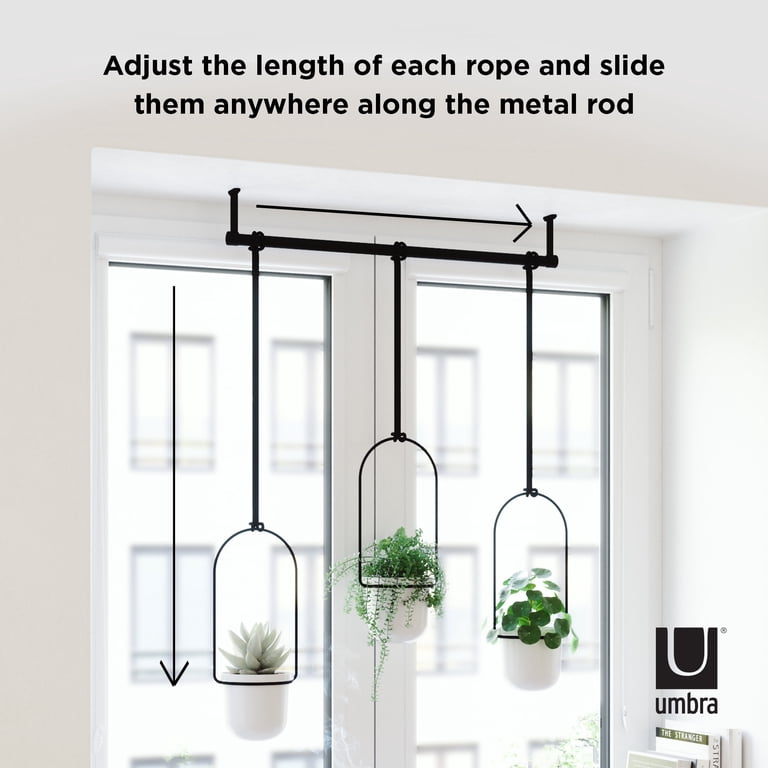 Umbra Triflora Hanging Wall Planter, Adjustable Indoor and Outdoor Plant  Display, Fits 3-Inch Pots - Walmart.com