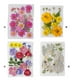 thumbnail image 5 of Flor seca natural DIY Decoraciones florales presionadas con flores en relieve conservadas hermosa decorativa para postal velas de scrapbooking amarillo Yuarrent HA010778-02, 5 of 7