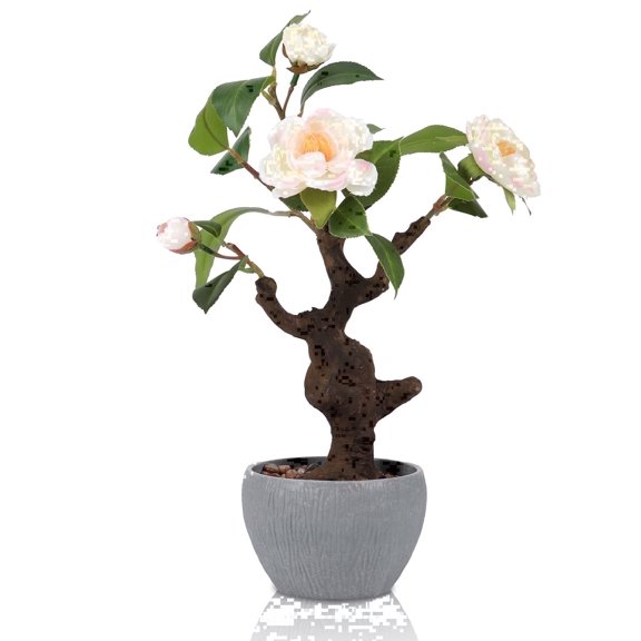 Small Artificial Camellia Bonsai Tree Decor 15" Tall Faux Blooming Camellia Floral Tree Potted Plant Desk Display with Bonsai Pot