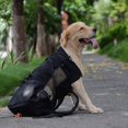thumbnail image 2 of Dog Carrier Backpack For Small And Medium Pets Front Facing Adjustable, 2 of 4
