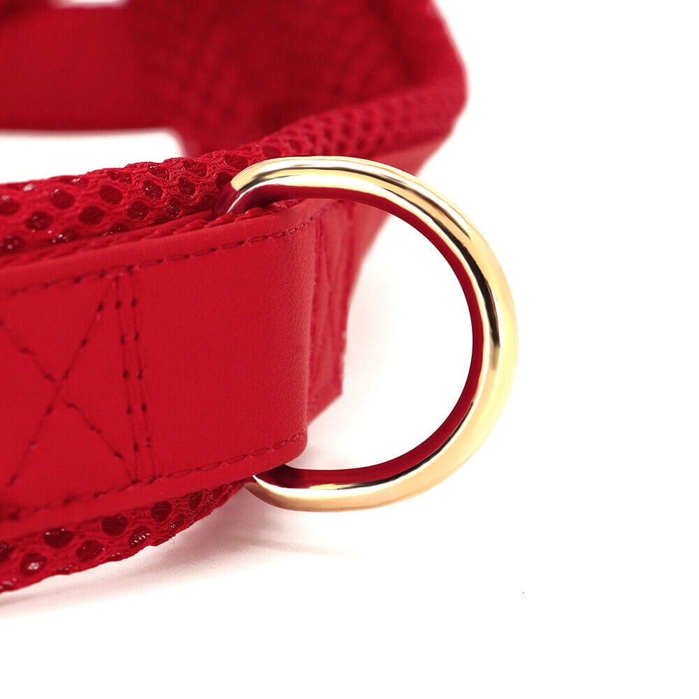 Didog No Pull Dog Harness Personalized Name Buckle Engraved Breathable Mesh Red Blue