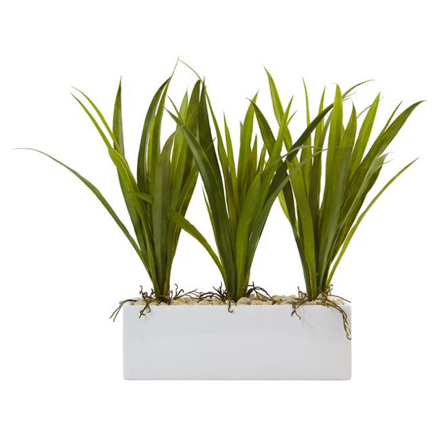 Herbe en Planteur Rectangulaire