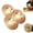 3PCS Plane, variant on Angle Grinder Polishing Pad,Tungsten Carbide for 4" & 4-1/2" Grinders,
3PCS Wood Grinding Disc for Wood Sanding Polishing and Surface Finishing (3PCS Curved Surface)