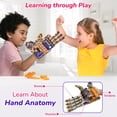 thumbnail image 2 of Mano mecánica robótica Toy Smartivity DIY para niños de 8 a 14 años, 2 of 5