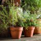 thumbnail image 4 of ADDHAT 2Ud Soporte Metálico Para Plantas De Jardín Con Y Reutilizable, 4 of 8