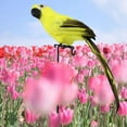 thumbnail image 4 of Estatuillas de Loros Artificiales Sunnimix para La Decoración Del Paisaje Del Porche Del Patio, 4 of 7
