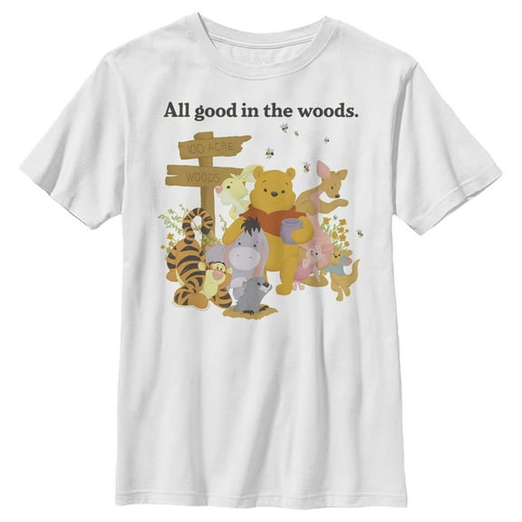 Boy's Winnie the Pooh All Good in the Woods Graphic Tee White X Large