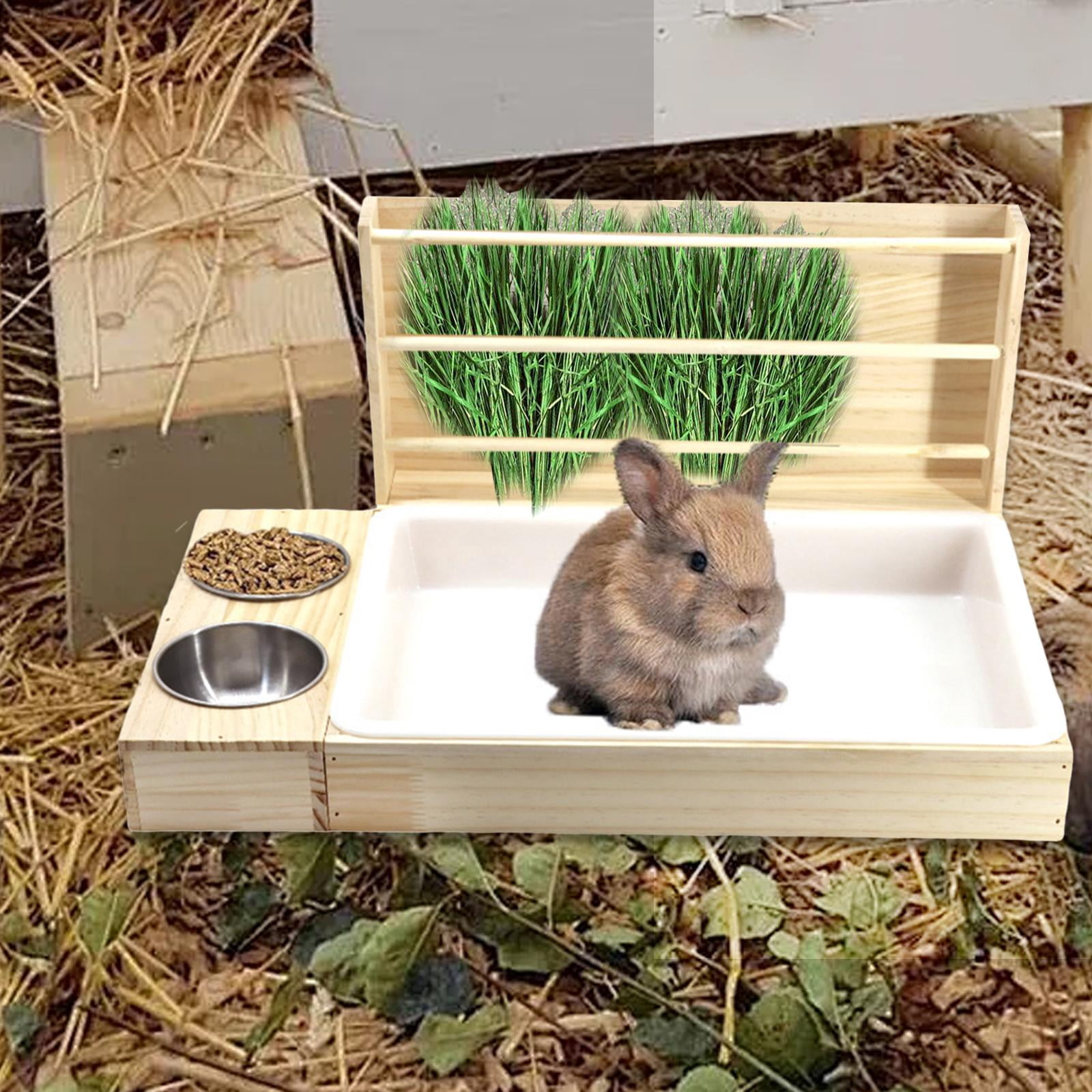 Zxpjkyu 3 in 1 Rabbit Hay Feeder Manger Easy to Clean Exercise Training Foraging Toy Hay