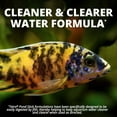 thumbnail image 5 of Tetra TetraCichlid Fish Food Flakes, 5.65 oz, 5 of 12