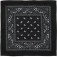 thumbnail image 1 of Large Cotton Paisley Bandana (22" x 22"), 1 of 3