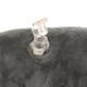 thumbnail image 1 of Collar Elizabeth para mascotas, collar Elizabeth para mascotas, collar de vaca y gato, cuello de flor, conos de gato, características líderes en la clase Jadeshay  A, 1 of 8
