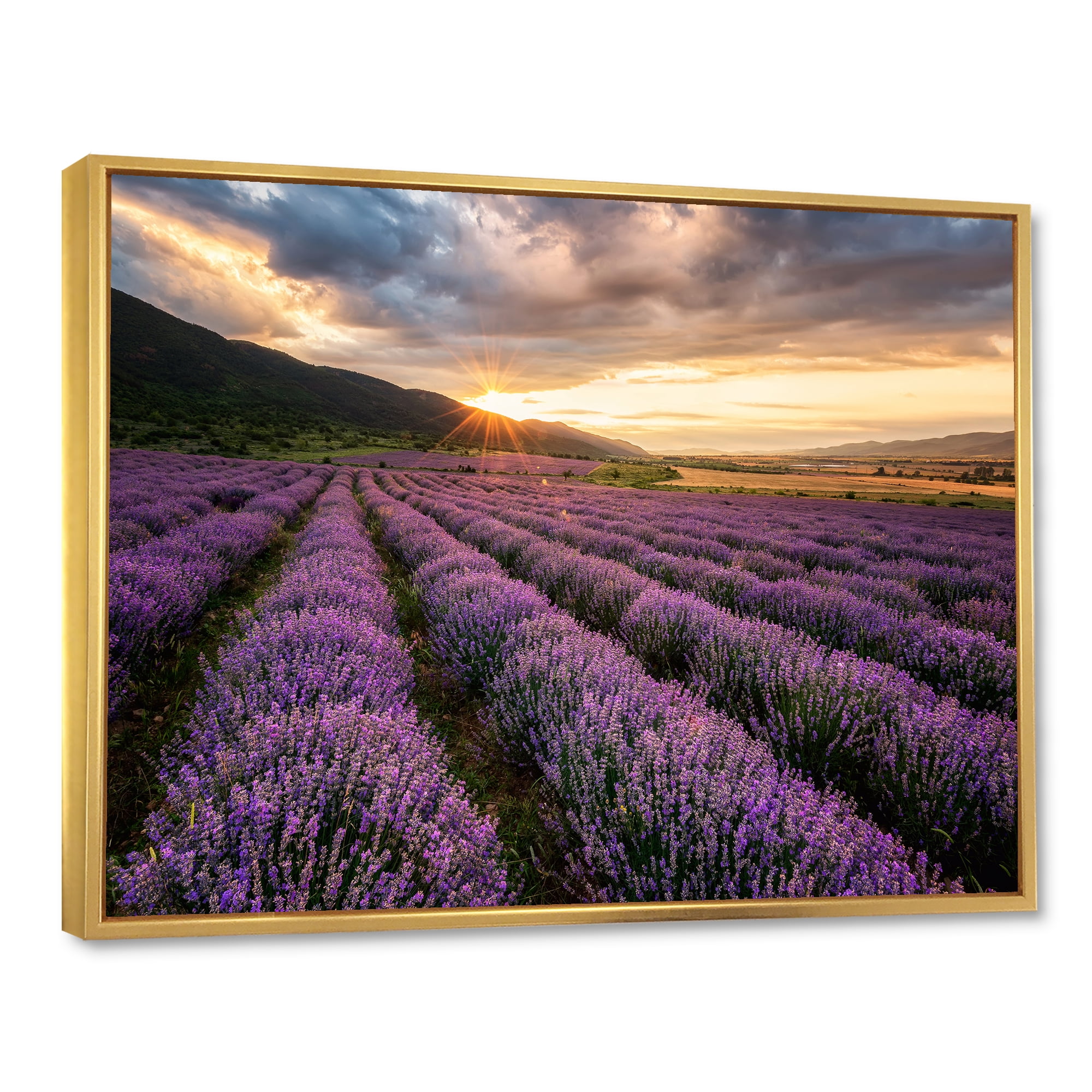 Designart 'Dramatic Clouds and Sunrise Over Lavender Field VI' Farmhouse Framed Canvas Wall Art Print