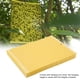thumbnail image 4 of 50 piezas de trampas adhesivas de doble cara para mosquitos, atrapamoscas e insectos., 4 of 14
