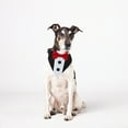 thumbnail image 5 of Pet Tuxedo Pet Suit Pet Wedding Bandana Collar with Bow Tie, Adjustable Pet Tux Formal Pet Costumes, Engagement Birthday Tuxedo for Large Extra Large Pet, 5 of 6