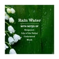 thumbnail image 3 of Liquid Laundry Detergent 74 Loads - Rain Water - 64 fl oz: 64 Uses, Dye - Free, Paraben - Free, 3 of 9
