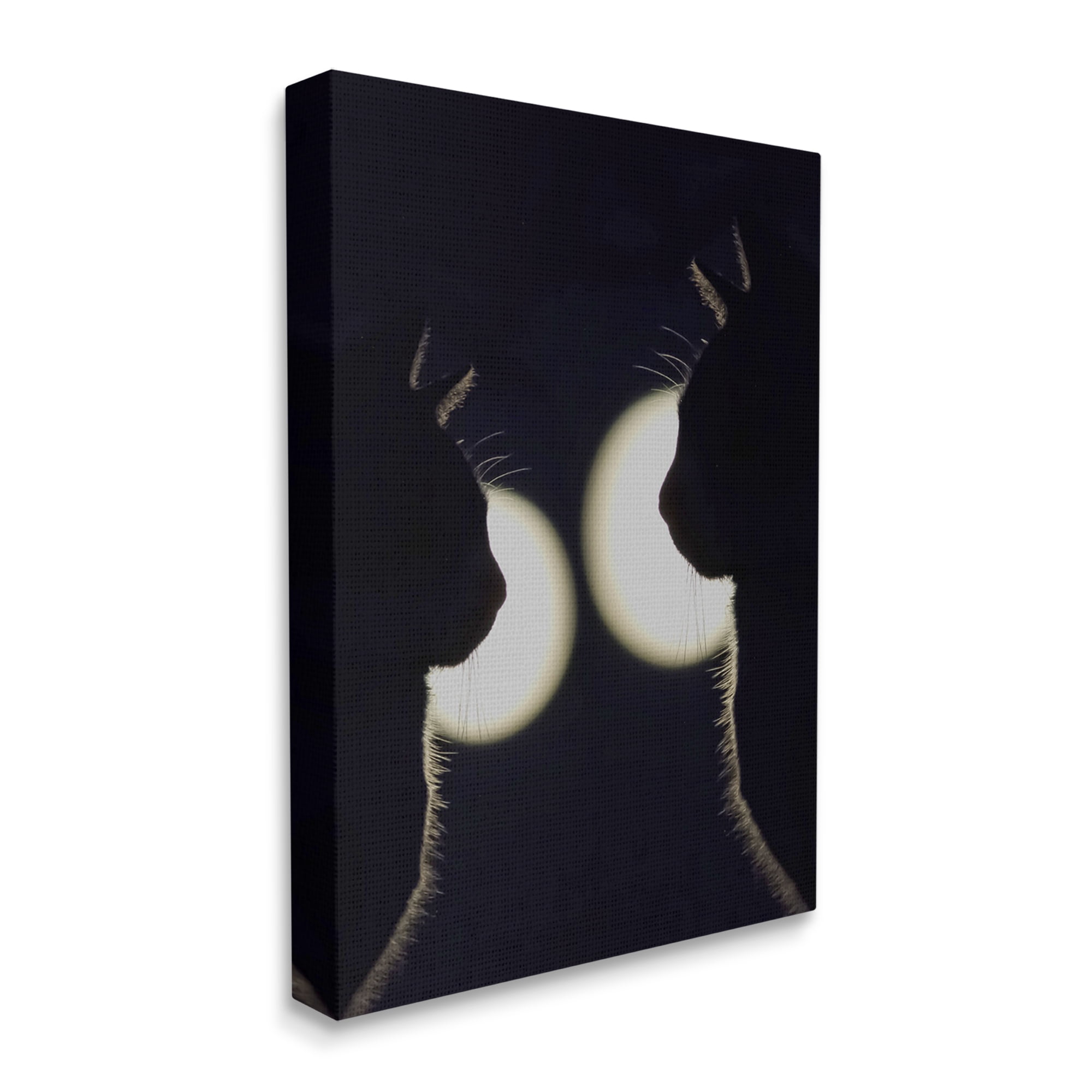 Stupell Industries Two Black Cats Silhouettes Nighttime Moonlight Animals Photograph Gallery Wrapped Canvas Print Wall Art, Design by Daphne Polselli