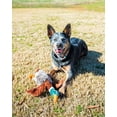 thumbnail image 4 of Vibrant Life Plush Duck Dog Toy with Honker, 4 of 9