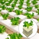 thumbnail image 2 of 25 * 25 * 25 MM Hojas de inicio de cubos de cultivo de lana de roca / lana de piedra para esquejes, clonación, propagación de plantas, inicio de semillas Medio de cultivo hidropónico Medio d, 2 of 5