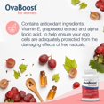 thumbnail image 7 of FertilAid for Women & Ovaboost Combo, Female Fertility Supplement & Natural Fertility Vitamin with Myo-Inositol, Vitex & Vitamins to Support Ovulation, Cycle Regularity & Egg Quality, 1 Month Supply, 7 of 7