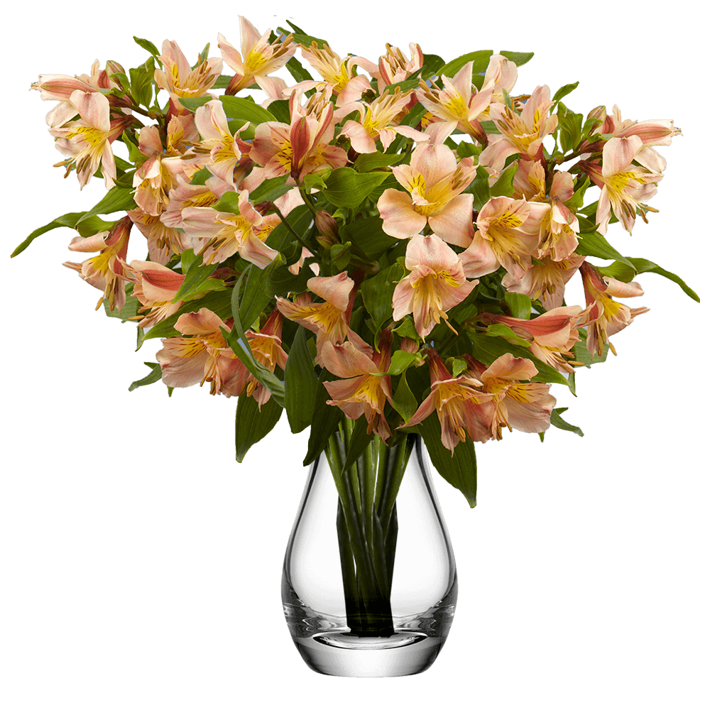 80 Stems of Super Select Orange Alstroemerias- Beautiful Fresh Cut Flowers- Express Delivery - image 3 of 5