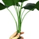 thumbnail image 3 of Plantas Artificiales BANYUO 2 Piezas Faux Banana Tree Tropical Monstera Leaf, 3 of 7