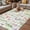 Sage Green Pink, variant on Spring Floral Outdoor Rug for Patio/Deck/Porch, Non-Slip Large Area Rug 6 x 9 Ft, Pink Flowers Green Plaid Pastoral Indoor Outdoor Rugs Washable Area Rugs, Reversible Camping Rug Carpet Runner