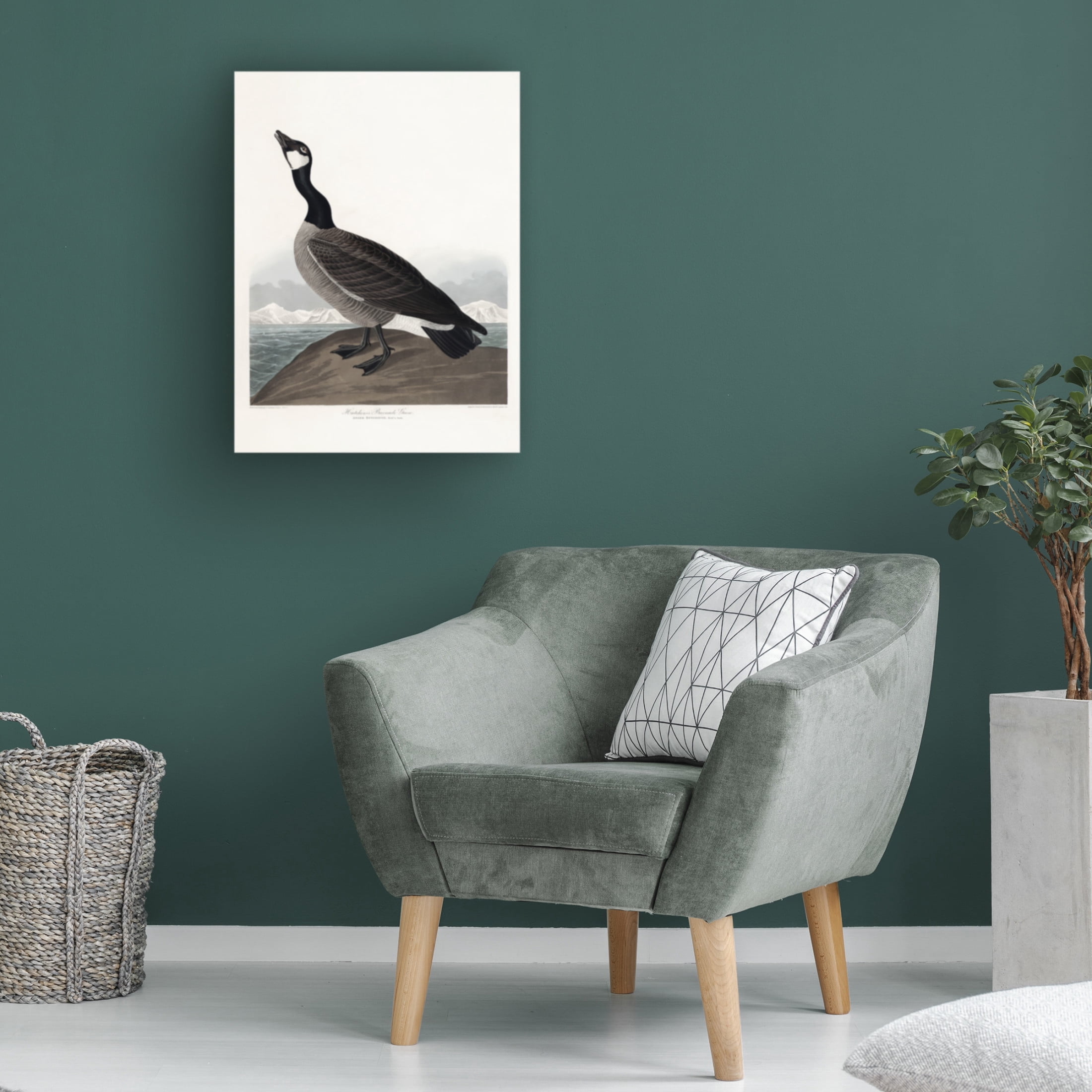 Trademark Fine Art Pictufy   Hutchins's Barnacle Goose From Birds of America 1827 Canvas Wall Art