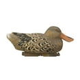 thumbnail image 5 of Higdon Standard Shoveler Foam-Filled Duck Decoys, 6 Pack, 5 of 6