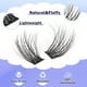 thumbnail image 3 of Kit de extensión de pestañas FANXITON Natural Lash D Clusters 288 piezas, 3 of 8