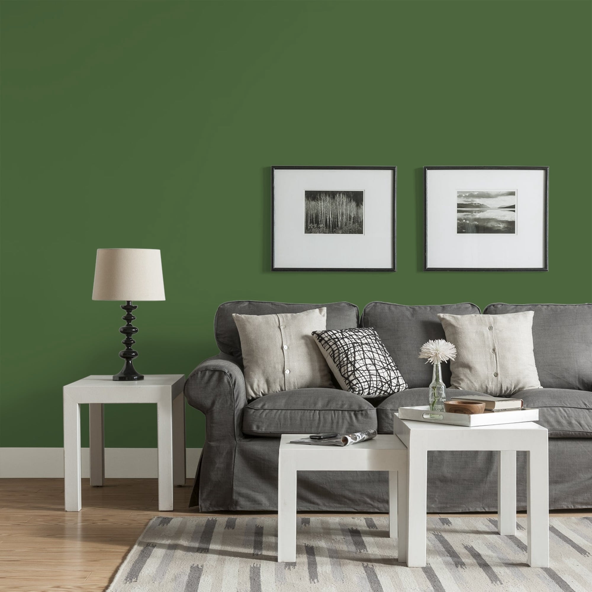 Glidden One Coat Mountain Forest / Green Eggshell Interior Paint with Primer, 1 Gallon
