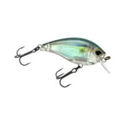 Yo-Zuri 3DB 1.5 Square Bill Crankbait Real Gizzard Shad