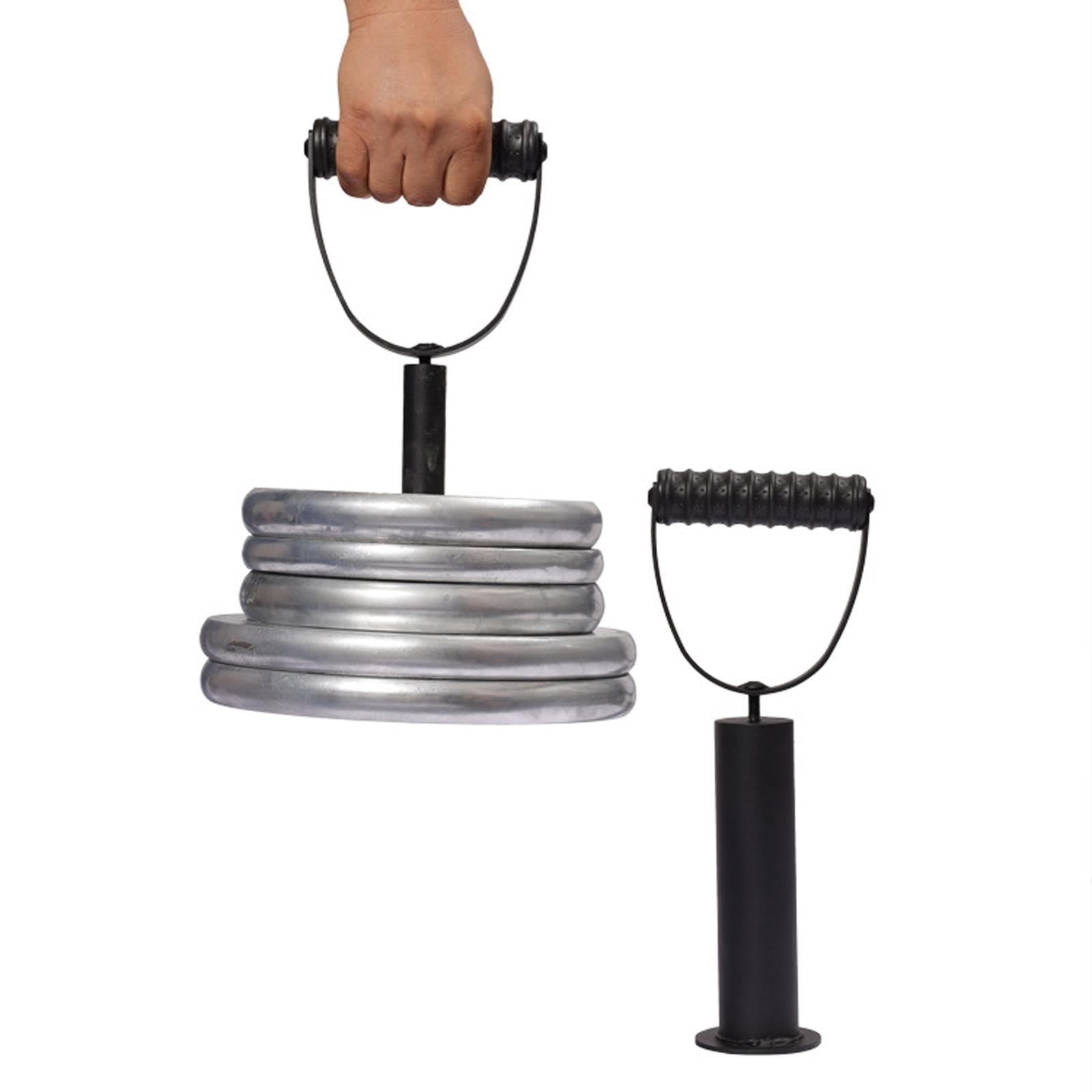 DimyFew Kettlebell Handle Plates Dumbbell Equipment workout and gym Diameter 25mm